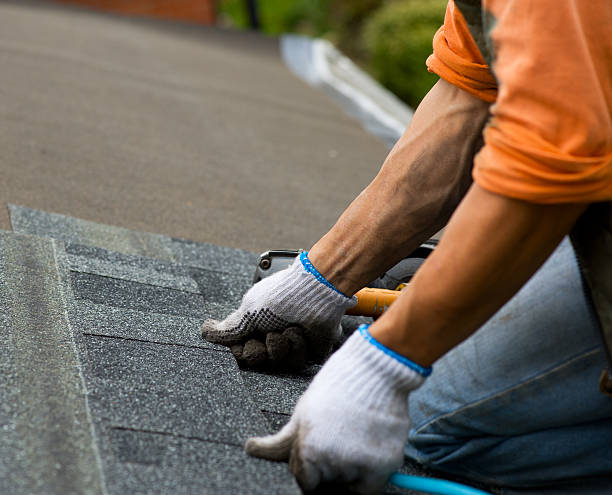 Best Metal Roofing Contractor  in Kenai, AK